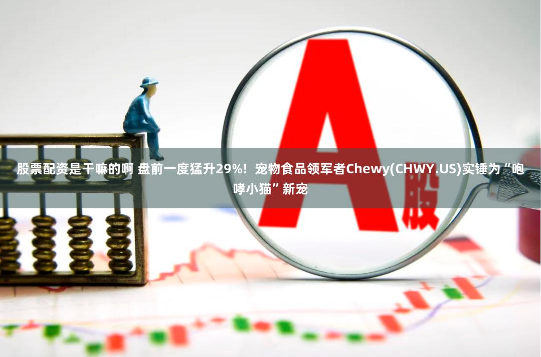 股票配资是干嘛的啊 盘前一度猛升29%!  宠物食品领军者Chewy(CHWY.US)实锤为“咆哮小猫”新宠