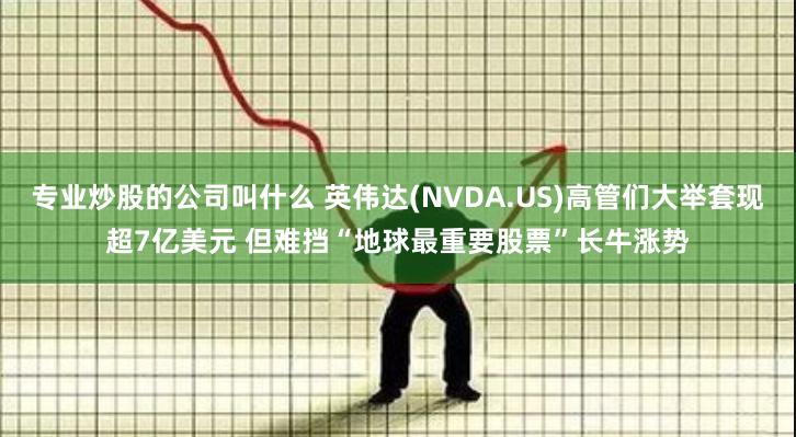 专业炒股的公司叫什么 英伟达(NVDA.US)高管们大举套现超7亿美元 但难挡“地球最重要股票”长牛涨势