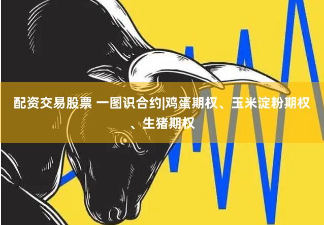 配资交易股票 一图识合约|鸡蛋期权、玉米淀粉期权、生猪期权
