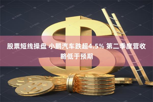 股票短线操盘 小鹏汽车跌超4.5% 第二季度营收略低于预期