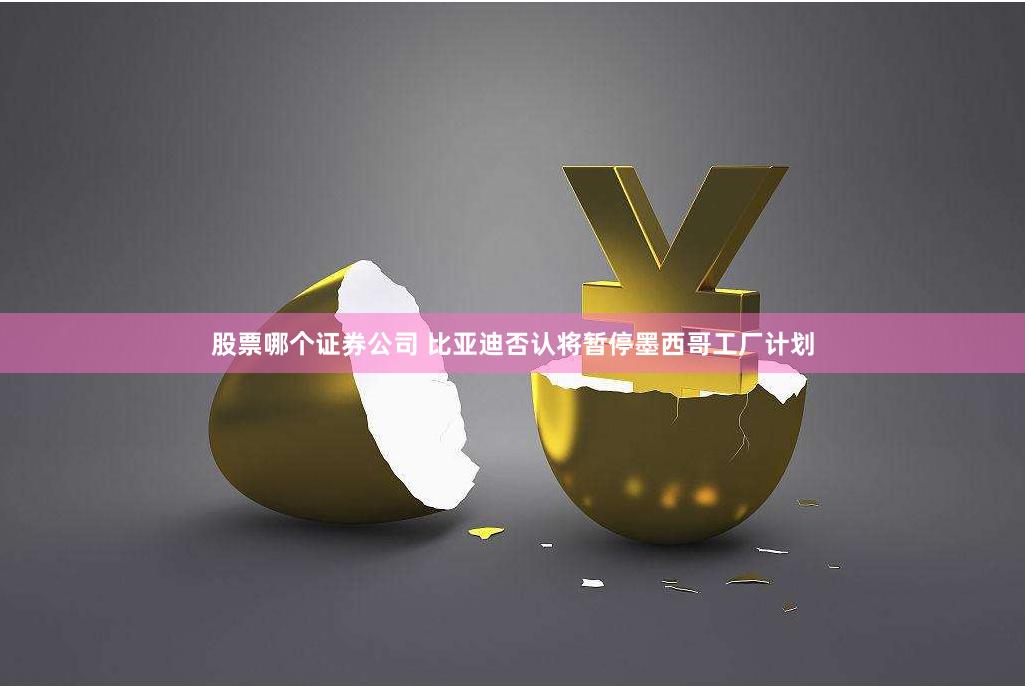 股票哪个证券公司 比亚迪否认将暂停墨西哥工厂计划