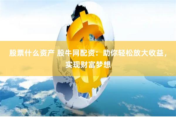 股票什么资产 股牛网配资：助你轻松放大收益，实现财富梦想